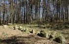 Łupawa – cmentarzysko megalityczne (tzw. północne)