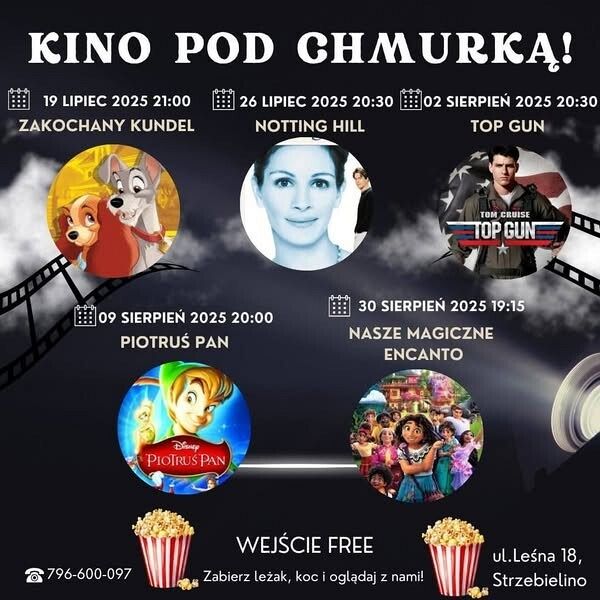 Grafika 1: Kino Pod Chmurką w Strzebielinie