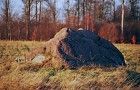 "Czerwony Kamień"