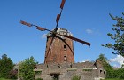 Wiatrak holenderski w Zdrzewnie