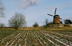 Wiatrak holenderski w Zdrzewnie