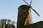 Wiatrak holenderski w Zdrzewnie