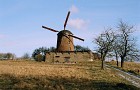 Wiatrak holenderski w Zdrzewnie
