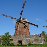 Wiatrak holenderski w Zdrzewnie