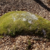 Kamień graniczny z datą