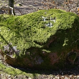 Kamień graniczny II (Unieszynko)