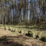 Łupawa – cmentarzysko megalityczne (tzw. północne)