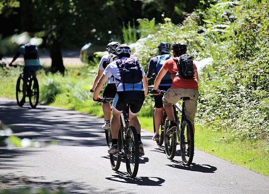 Trasy rowerowe – propozycje grafika