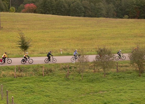 Grafika 4: Pocztylion 2016