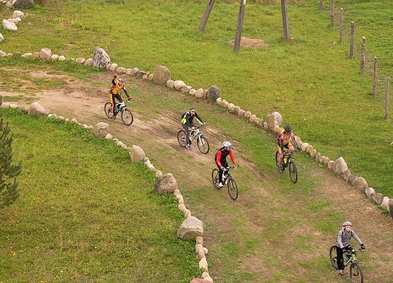 Grafika 5: Pocztylion 2016