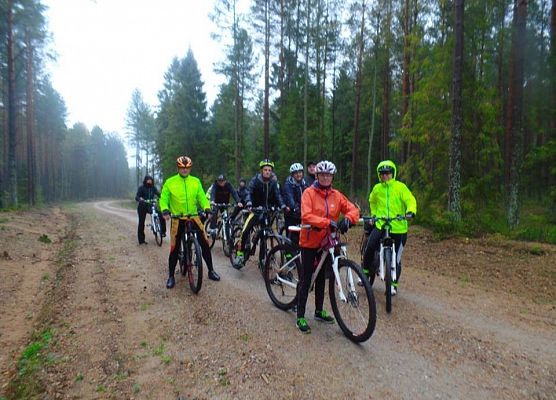 Grafika 19: Rowerem po gminie Cewice