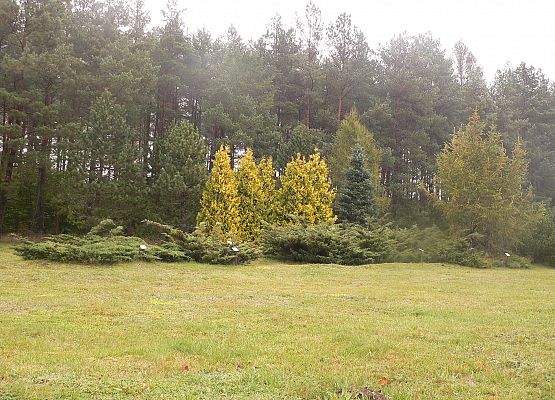 Grafika 34: Rowerem po gminie Cewice