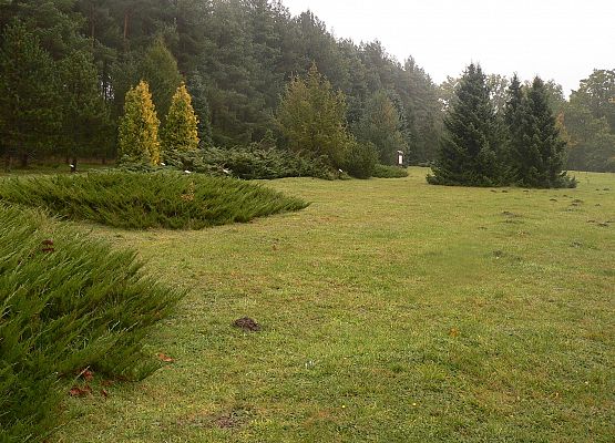 Grafika 37: Rowerem po gminie Cewice