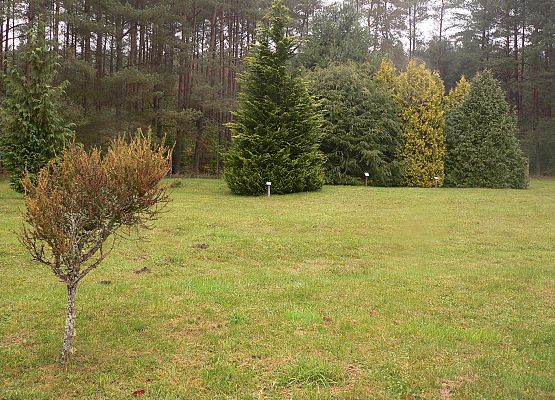 Grafika 38: Rowerem po gminie Cewice