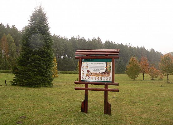 Grafika 39: Rowerem po gminie Cewice