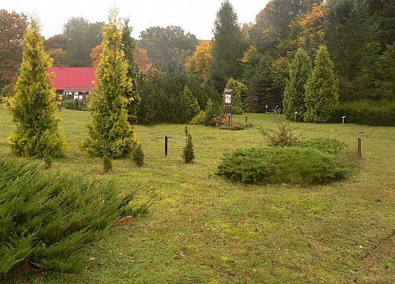 Grafika 40: Rowerem po gminie Cewice