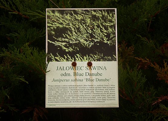 Grafika 41: Rowerem po gminie Cewice