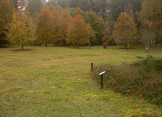 Grafika 43: Rowerem po gminie Cewice