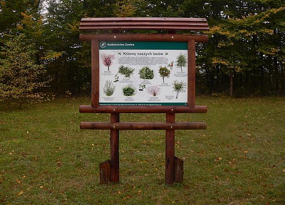 Grafika 45: Rowerem po gminie Cewice