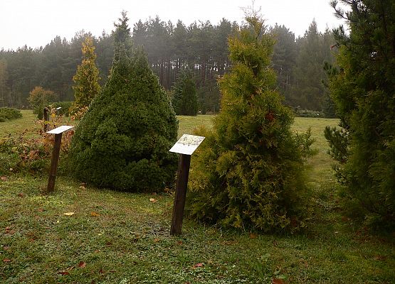 Grafika 46: Rowerem po gminie Cewice