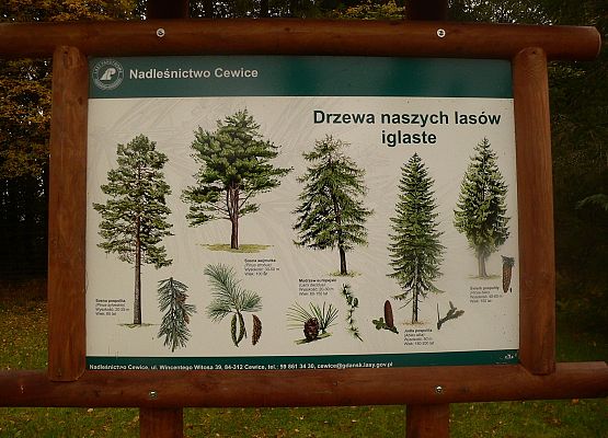 Grafika 47: Rowerem po gminie Cewice