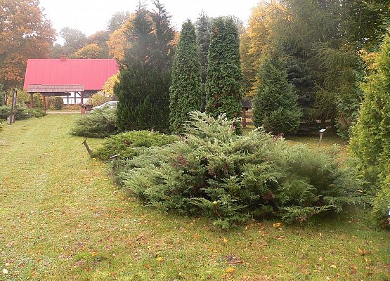 Grafika 48: Rowerem po gminie Cewice