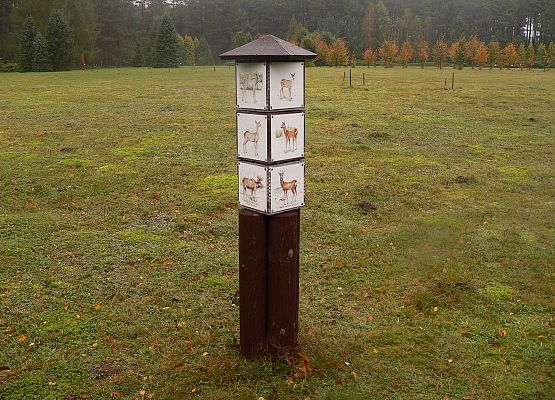 Grafika 49: Rowerem po gminie Cewice