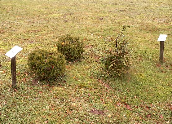 Grafika 50: Rowerem po gminie Cewice