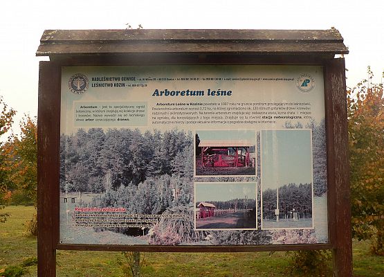 Grafika 51: Rowerem po gminie Cewice