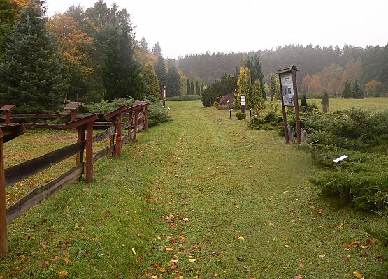 Grafika 52: Rowerem po gminie Cewice