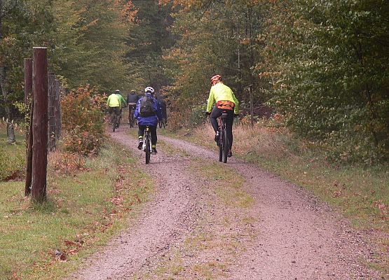 Grafika 57: Rowerem po gminie Cewice