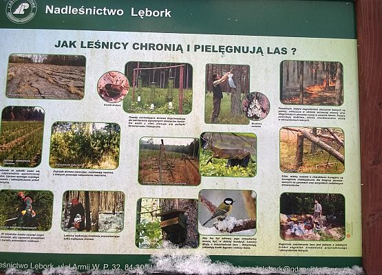 Grafika 12: Nad Jezioro Czarne w śnieżnej bieli