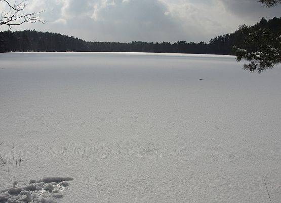 Grafika 8: Nad Jezioro Czarne w śnieżnej bieli