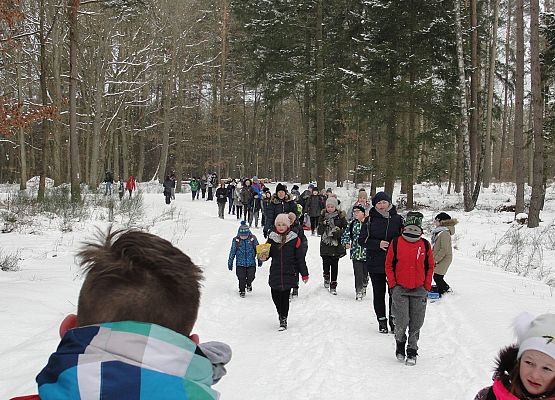 Grafika 14: Nad Jezioro Czarne w śnieżnej bieli