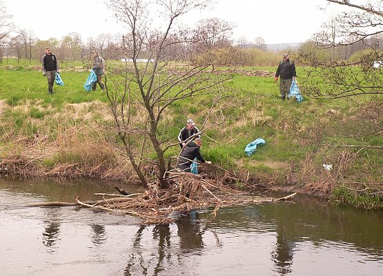 Grafika 1: Czyściej nad rzeką Łebą