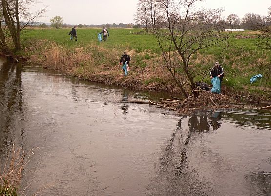 Grafika 3: Czyściej nad rzeką Łebą