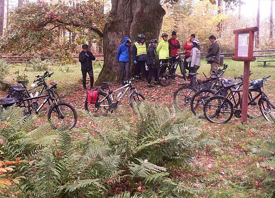 Grafika 7: Turystycznie po gminie Cewice