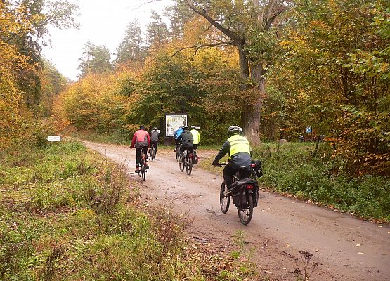 Grafika 9: Turystycznie po gminie Cewice