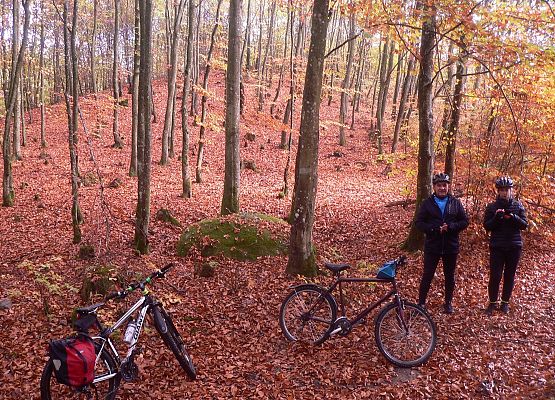 Grafika 10: Turystycznie po gminie Cewice