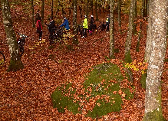 Grafika 11: Turystycznie po gminie Cewice