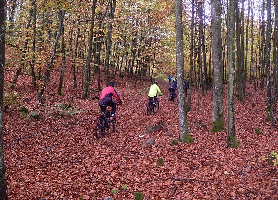 Grafika 12: Turystycznie po gminie Cewice