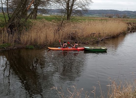 Grafika 4: Mniej odpadów w rzece Łebie