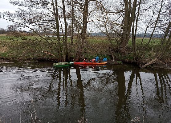 Grafika 5: Mniej odpadów w rzece Łebie