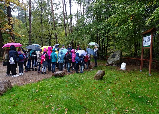 Grafika 1: Uczcili pamięć pocztyliona