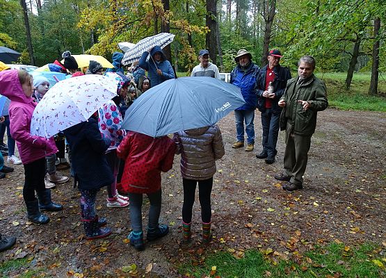 Grafika 3: Uczcili pamięć pocztyliona