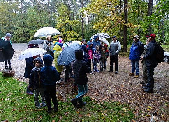 Grafika 5: Uczcili pamięć pocztyliona