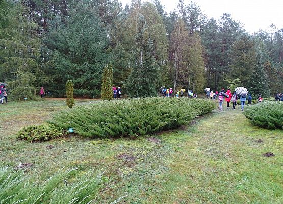 Grafika 7: Uczcili pamięć pocztyliona