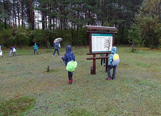 Grafika 8: Uczcili pamięć pocztyliona