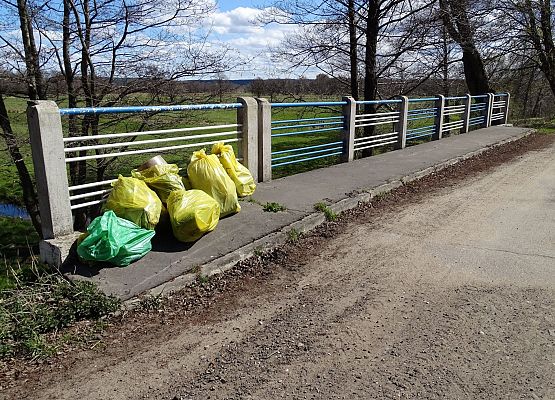 Grafika 15: Wyciągali "skarby" z rzeki Łeby