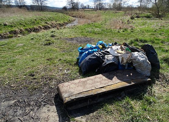 Grafika 16: Wyciągali "skarby" z rzeki Łeby
